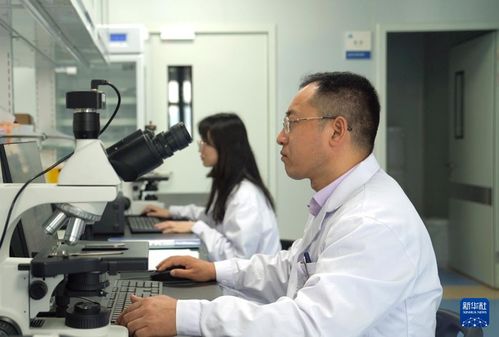 新華全媒 我國科研團隊首次構建泛癌種脈管系統(tǒng)全息細胞圖譜